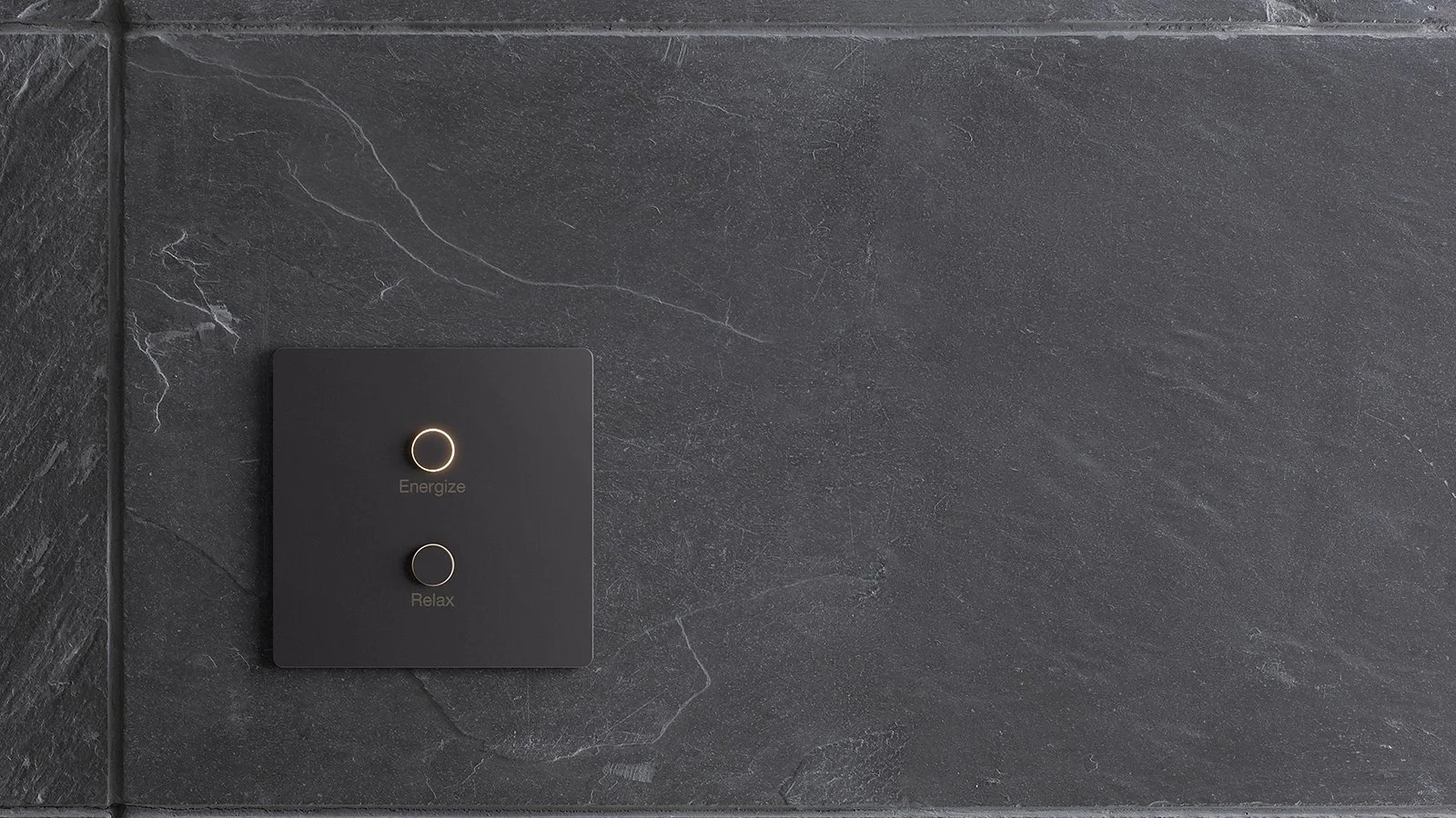 Lutron Keypad and Smart Home Control Panel in Luxury Residence | VIP Smart Homes Seattle