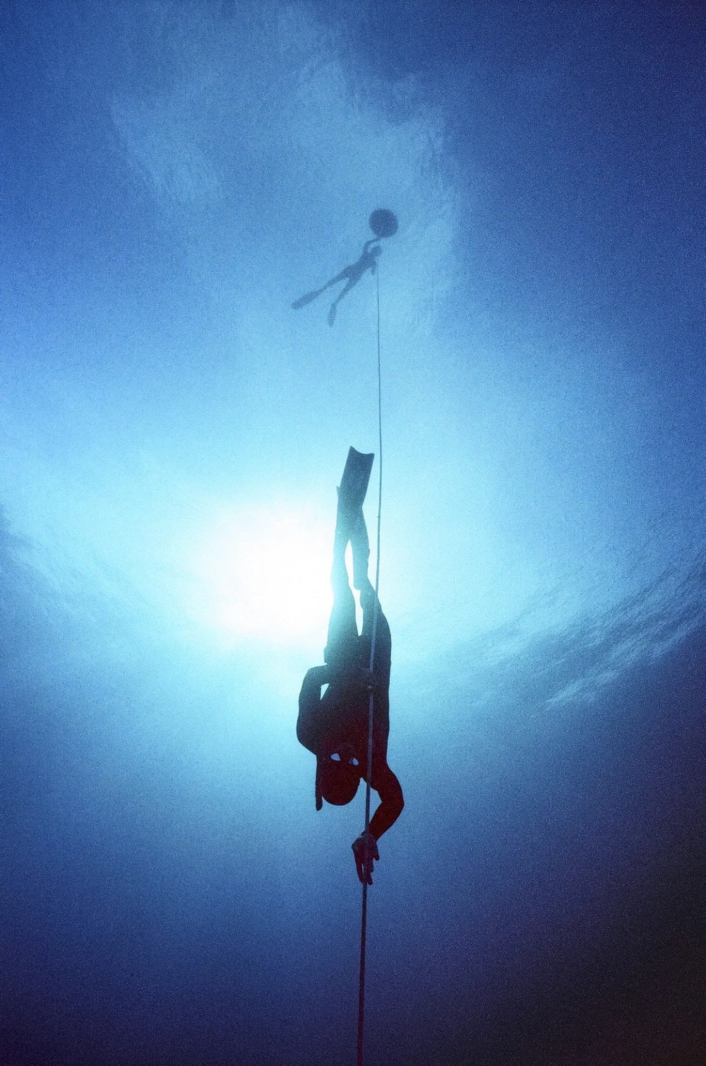 Cory freediving down a line, silhouetted against the sun