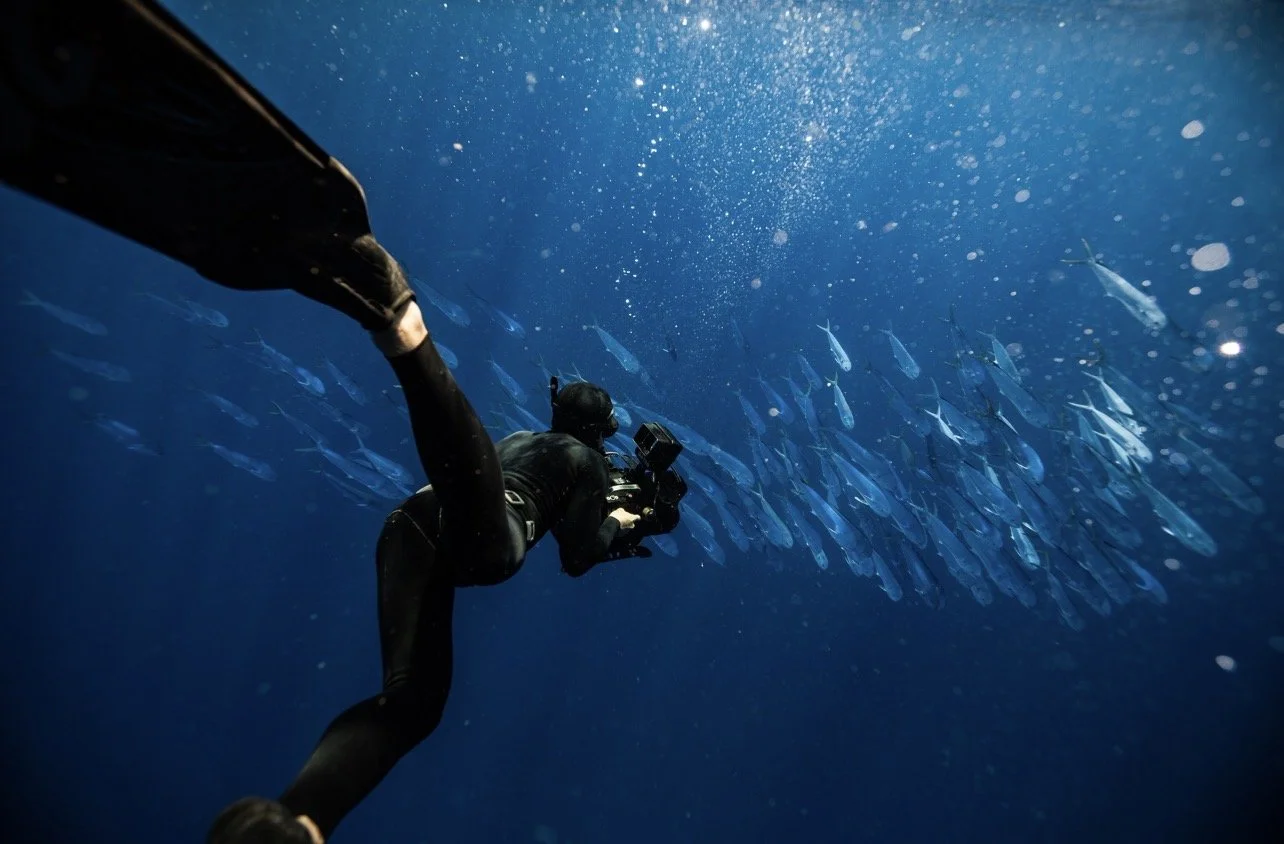 Cory freediving with a RED camera alongside a school of mahi-mahi