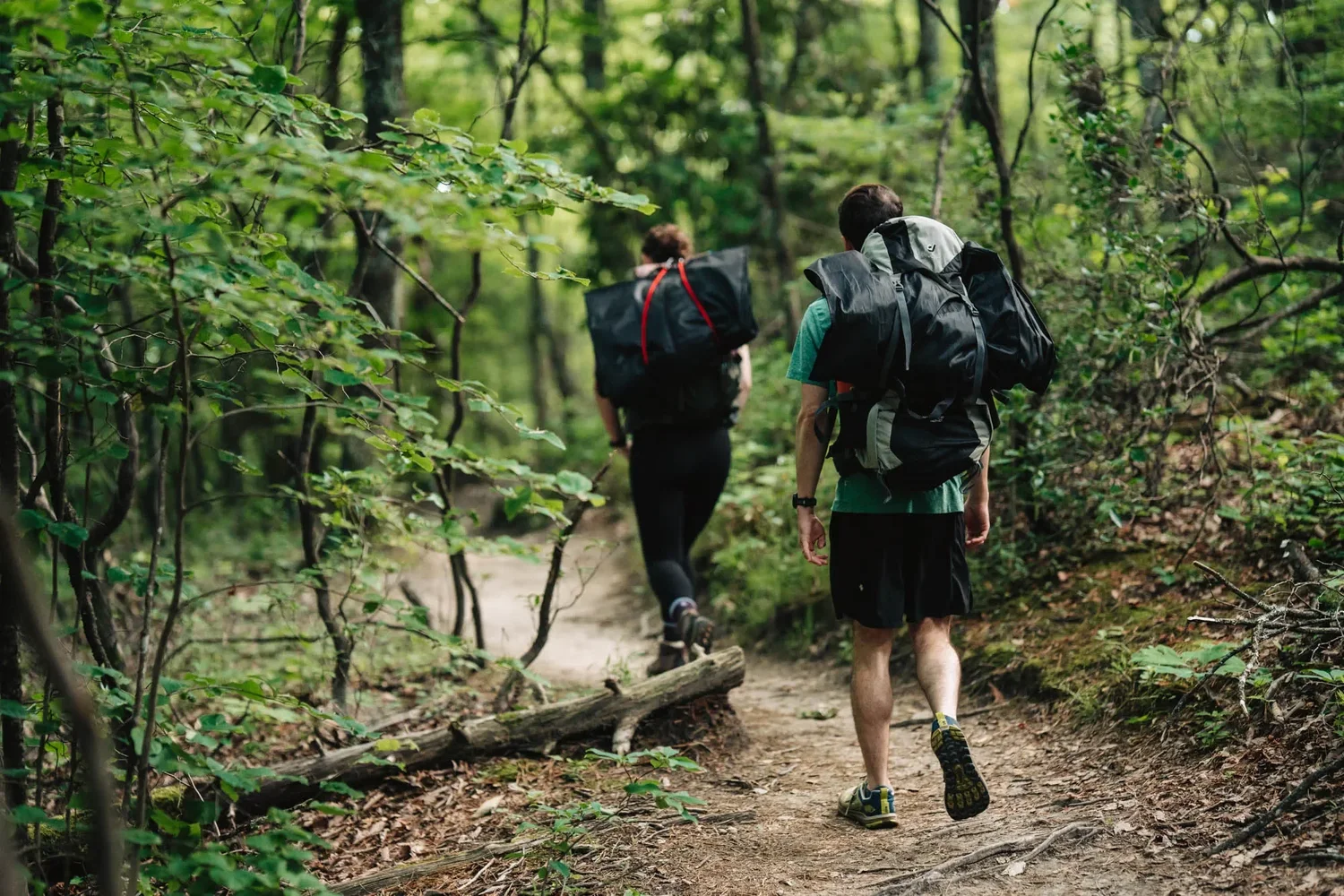 Mackenzie and Michael beginning the hike toward Hawksbill after their wedding ceremony.
