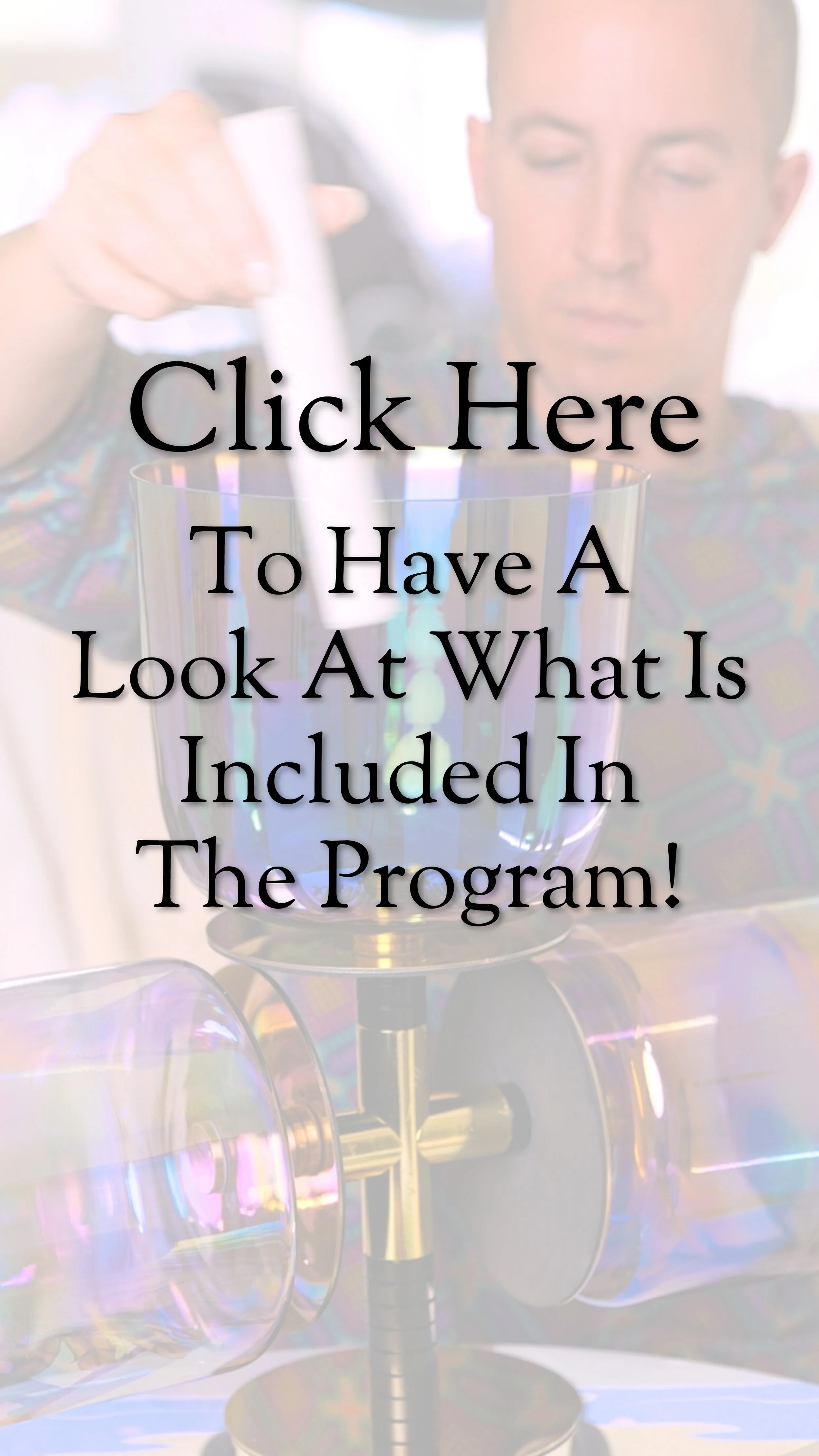 What's Inside The Program