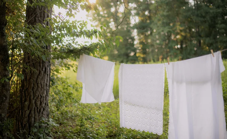 Drie witte lakens aan een waslijn in het bos.