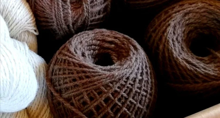 Close-up van een aantal bolletjes gesponnen bruine en strengen witte schapenwol