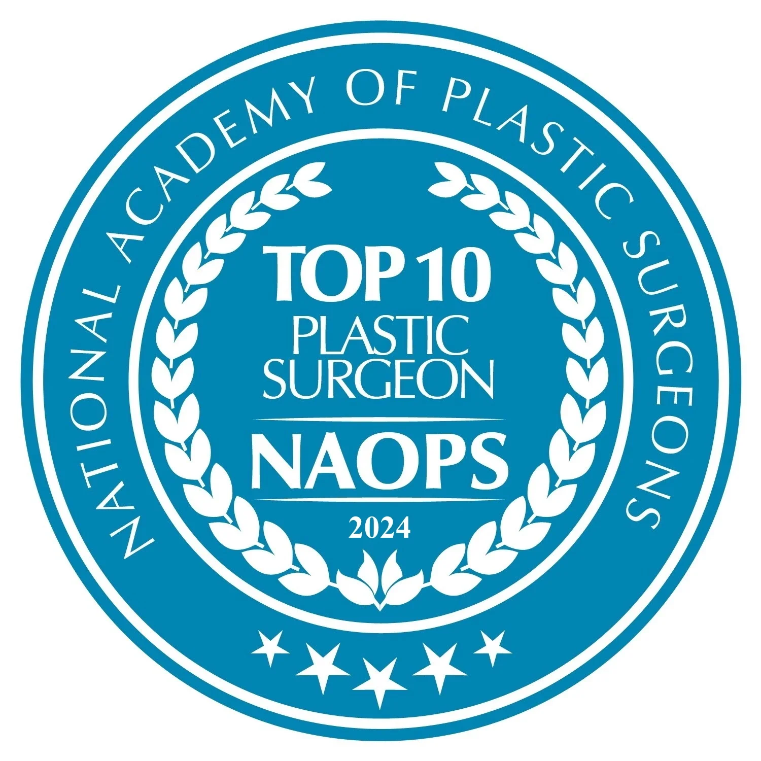 National Academy of Plastic Surgeons Top 10