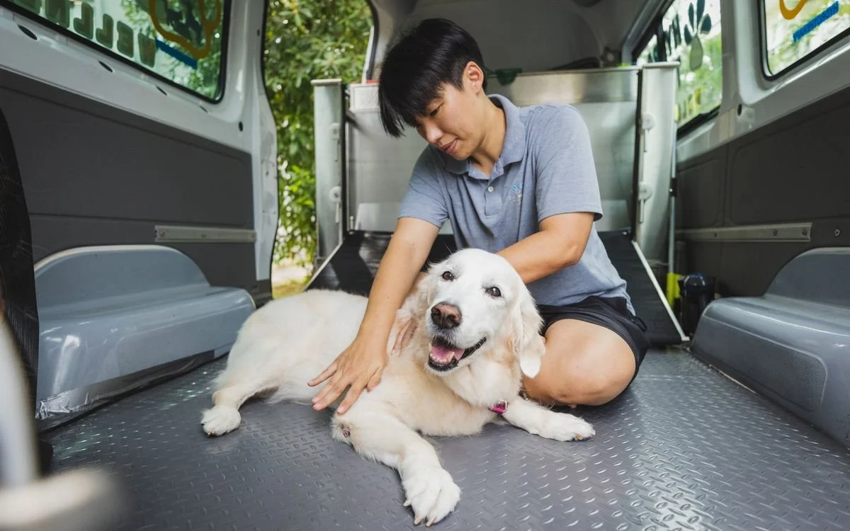 CJ from Hydro Tails on camera with a dog
