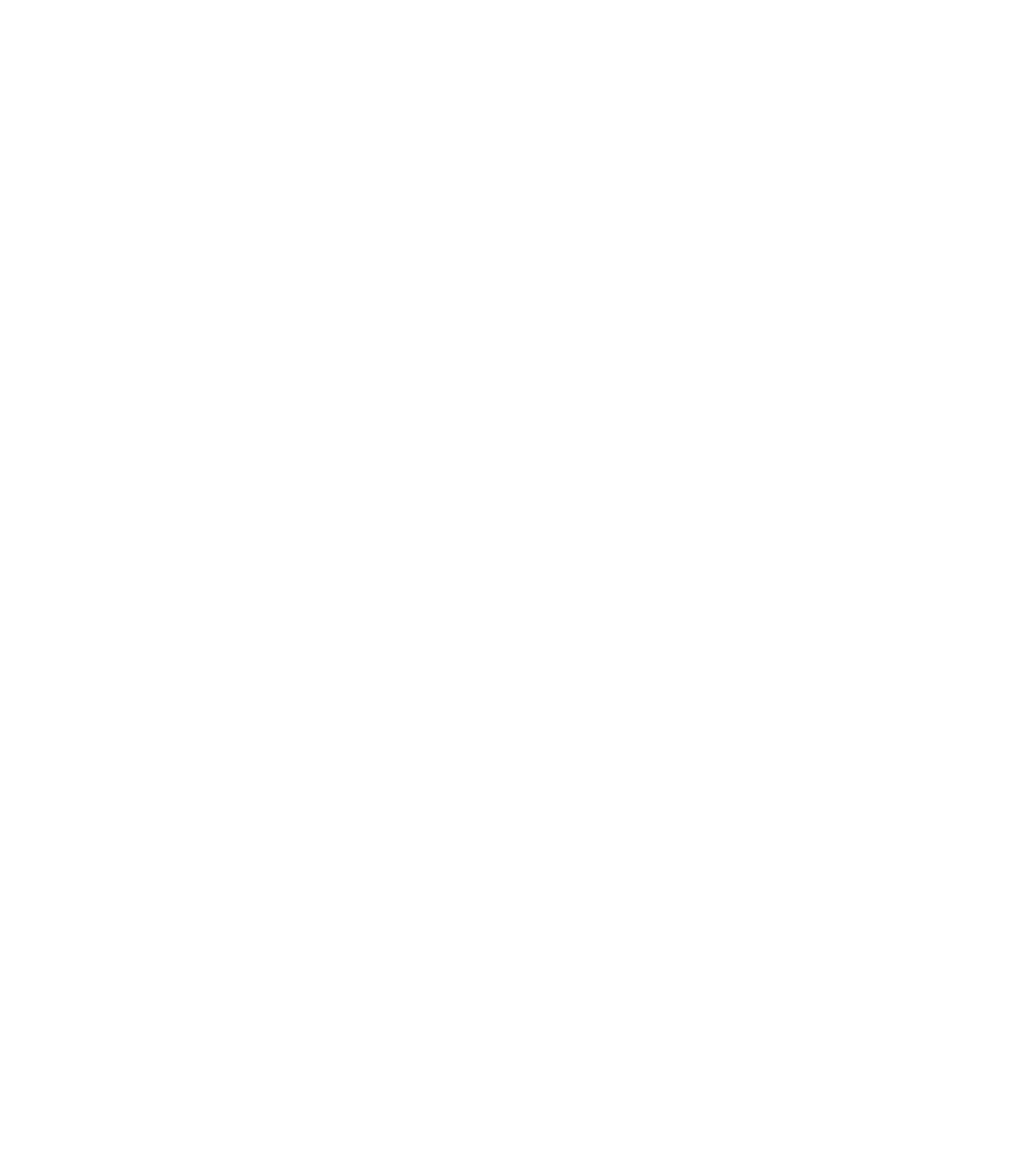 Magnitude 10.0 Gymnastics logo