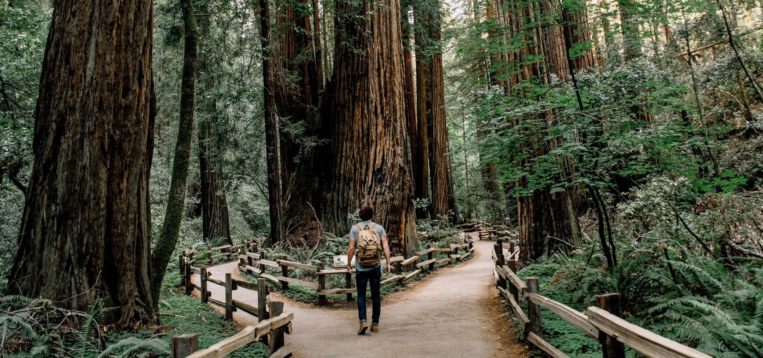 SageMED hormone optimization and sexual health clinic - advanced pellet therapy and integrative medicine