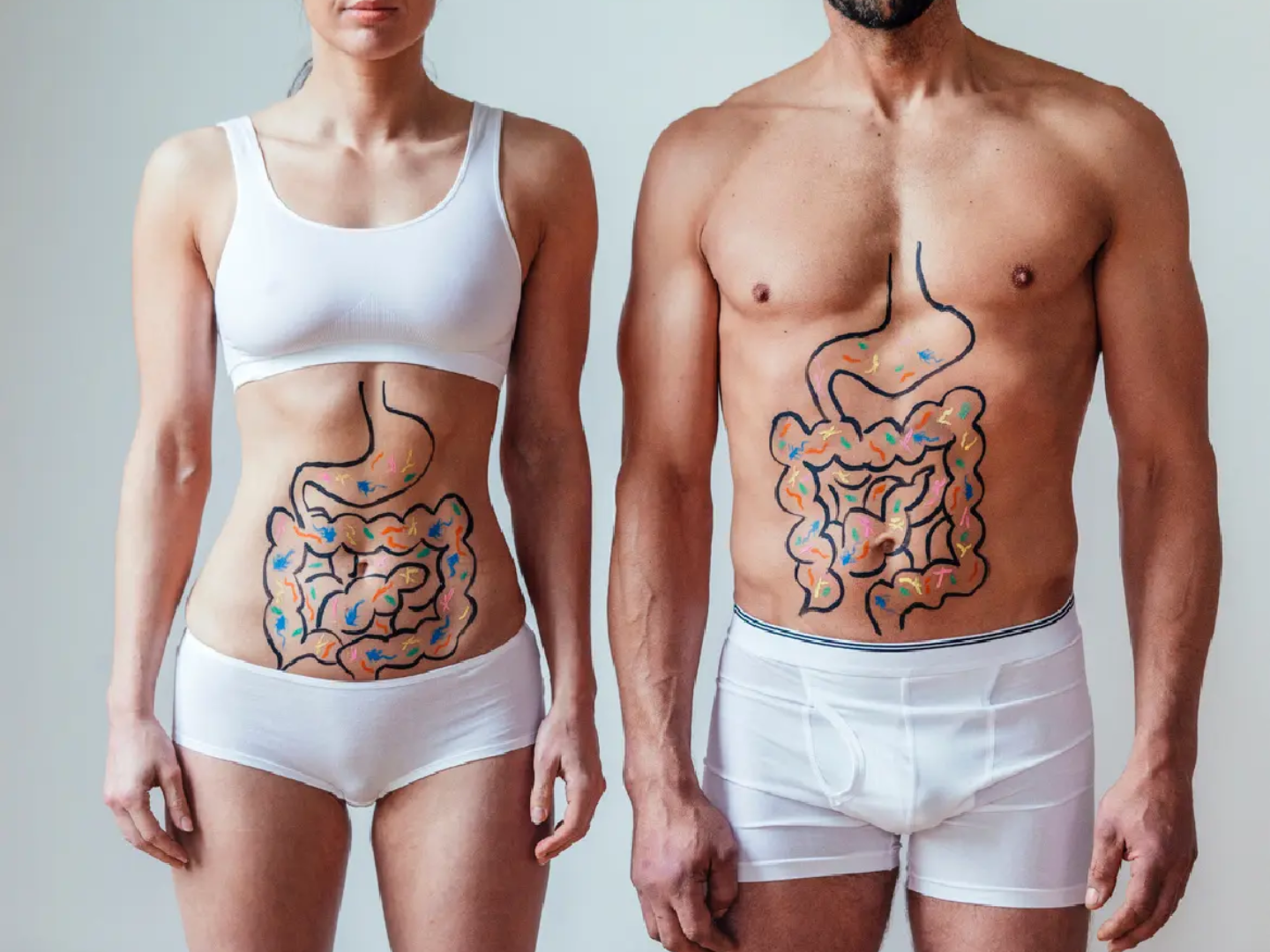 Illustration of male and female digestive systems highlighting gut health and gastrointestinal function
