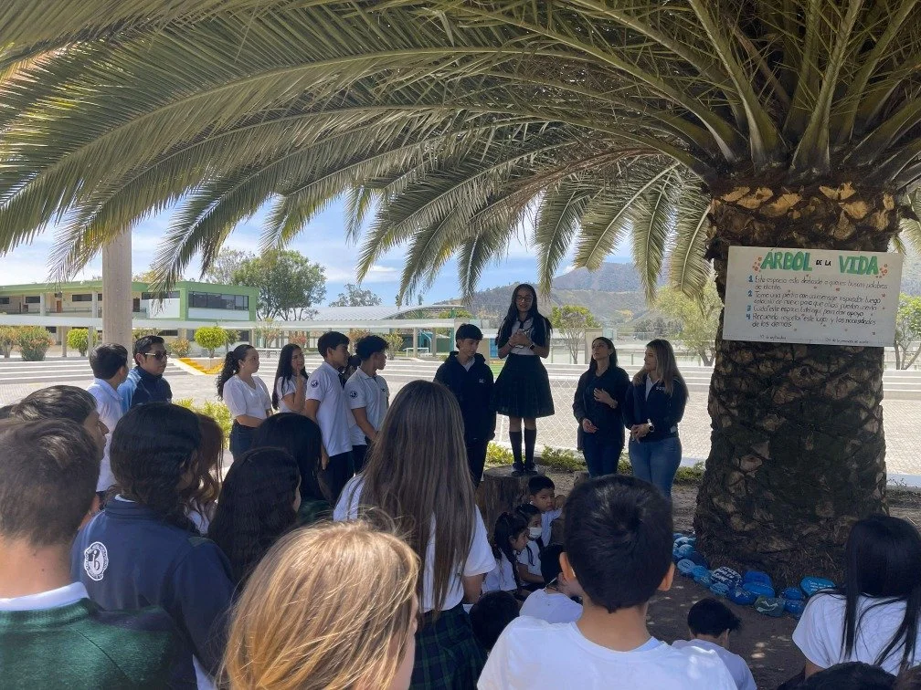 Servicio de counselling