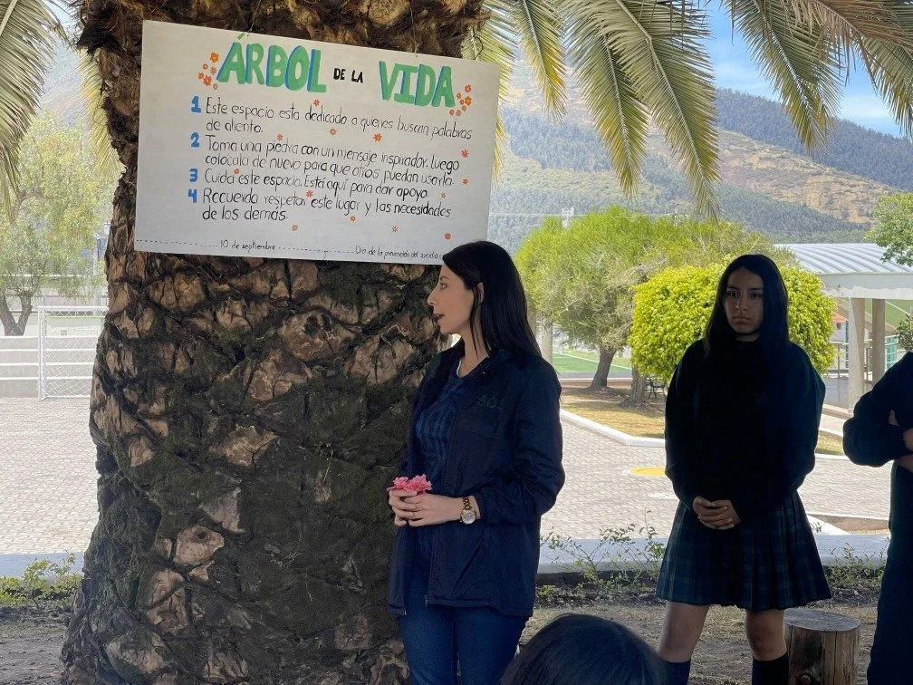 Acompañamiento estudiantil