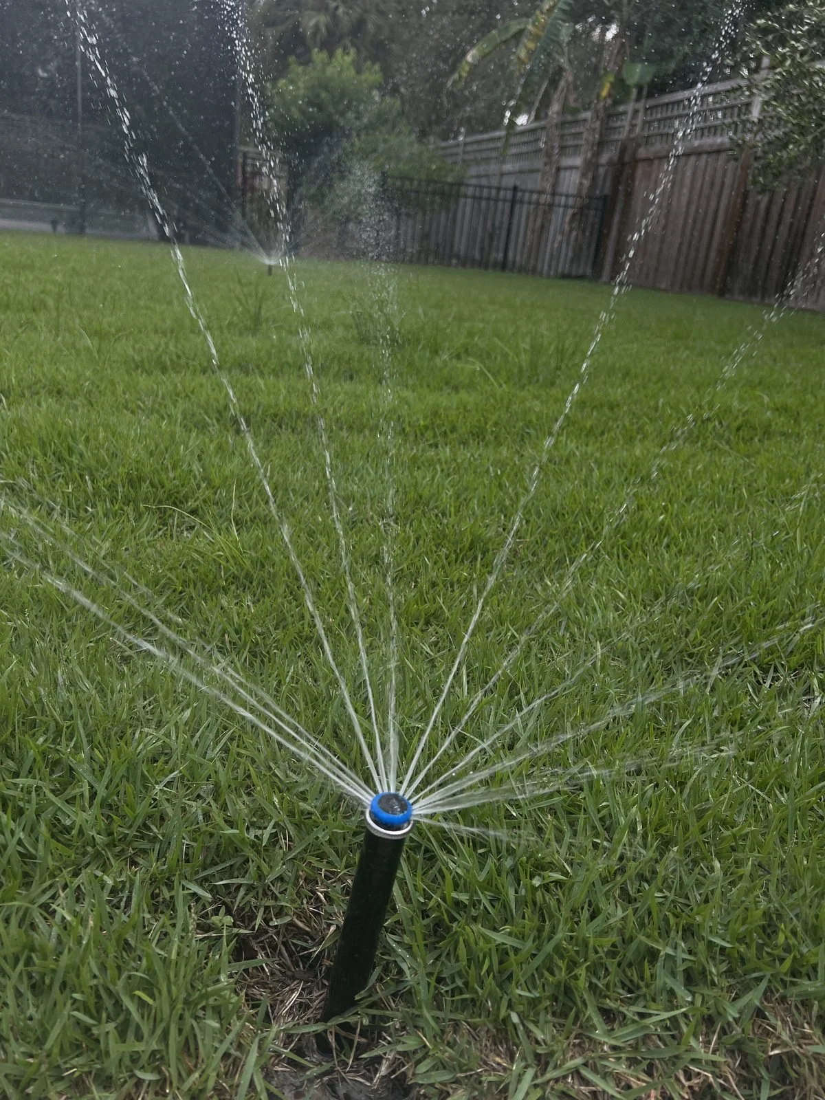 Irrigation sprinkler head watering lush green lawn at Oviedo FL home