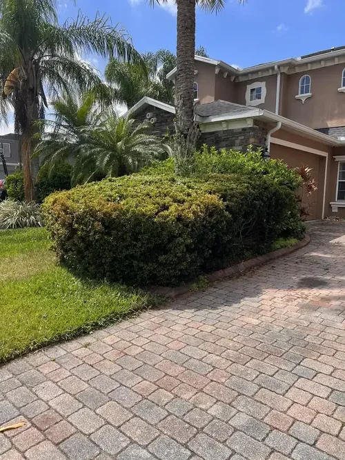 Paver driveway with clipped hedges