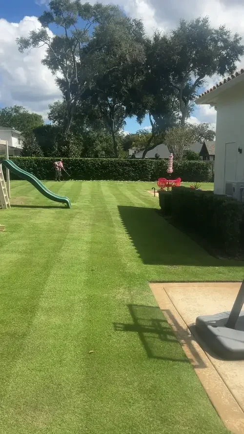 Striped backyard lawn