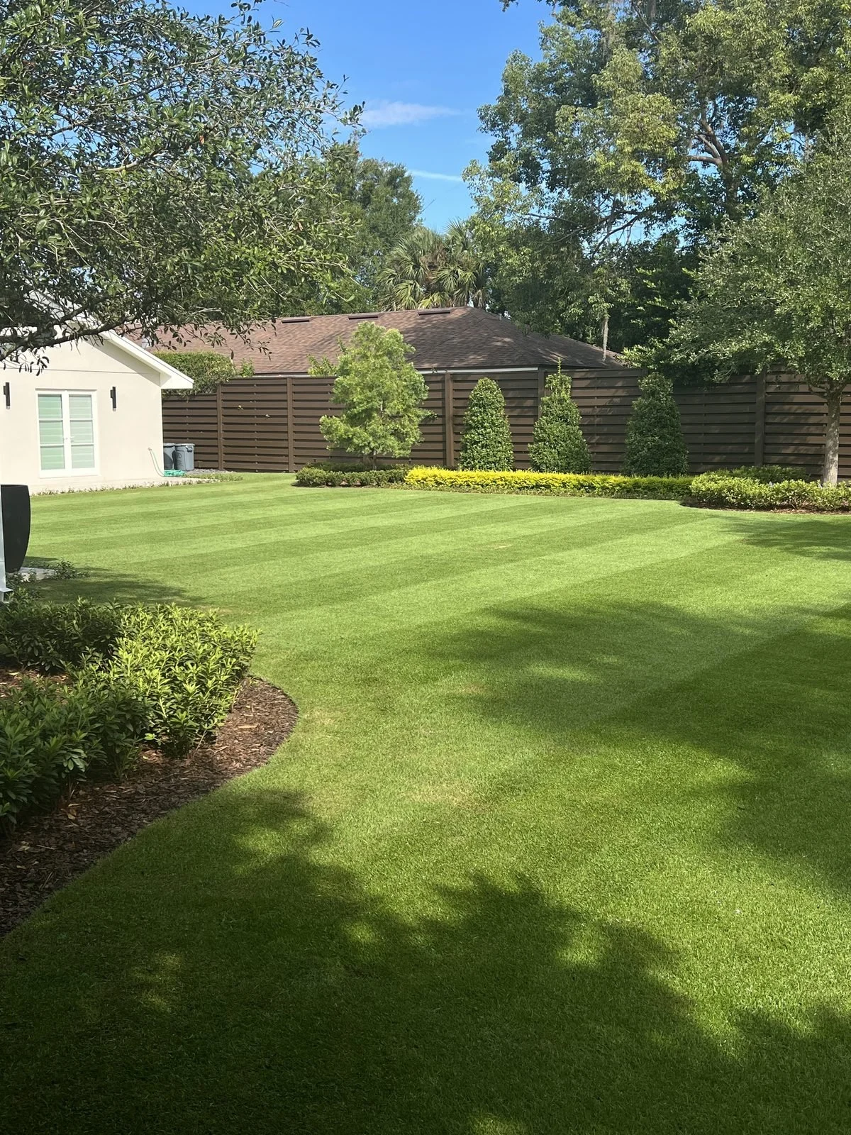 Golf-course quality reel mowing stripes on backyard estate lawn in Oviedo FL