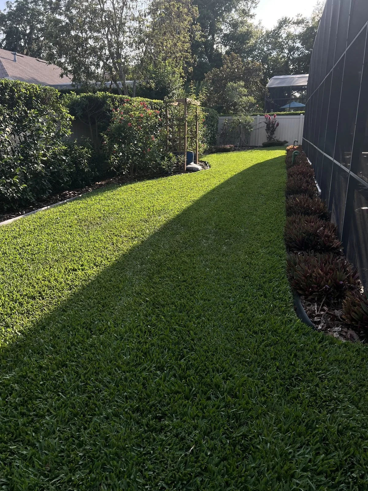 Fresh sod installation with landscape bed edging along side yard in Oviedo FL