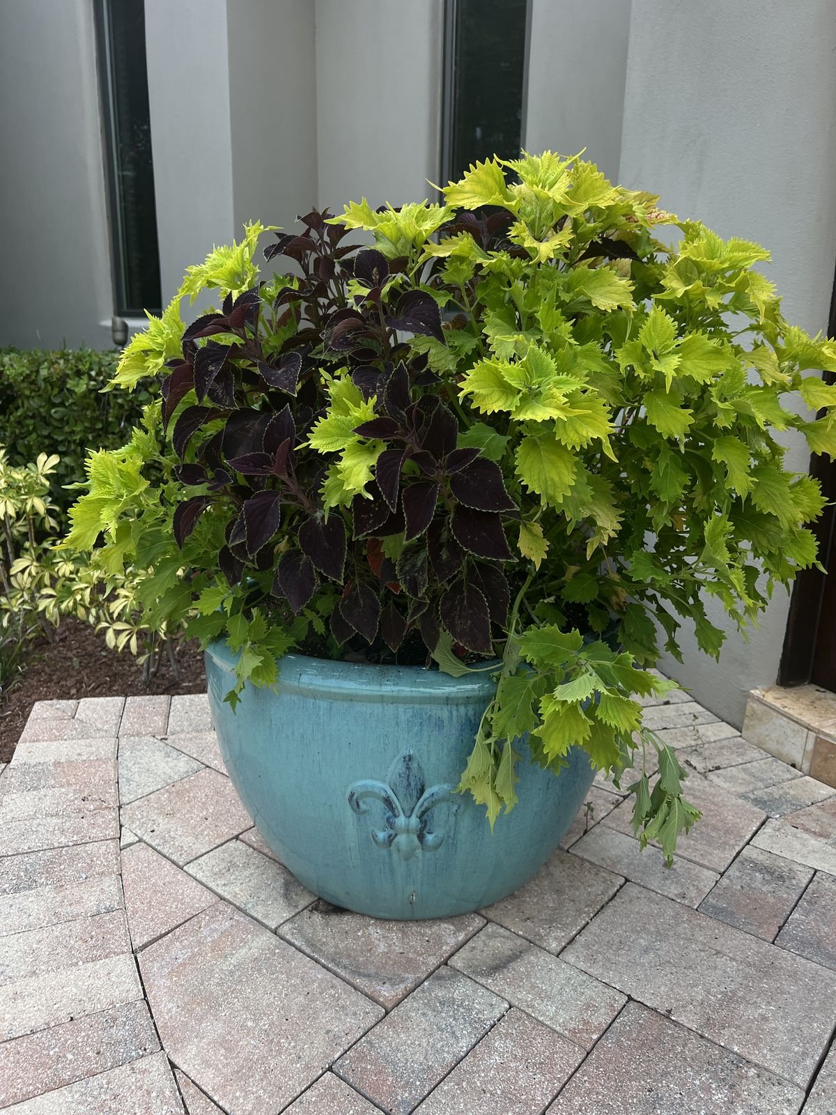 Oviedo front entry planter pair flanking estate entrance