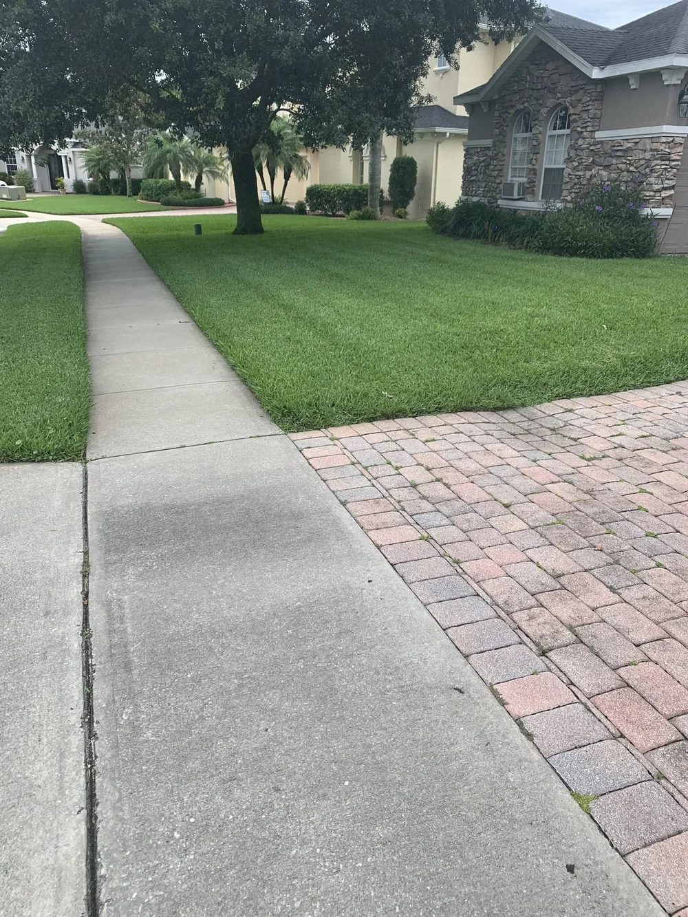 Striped Zoysia lawn meeting paver walkway in Winter Park — hardscape integration with the cultivar finish CitraZoy also delivers