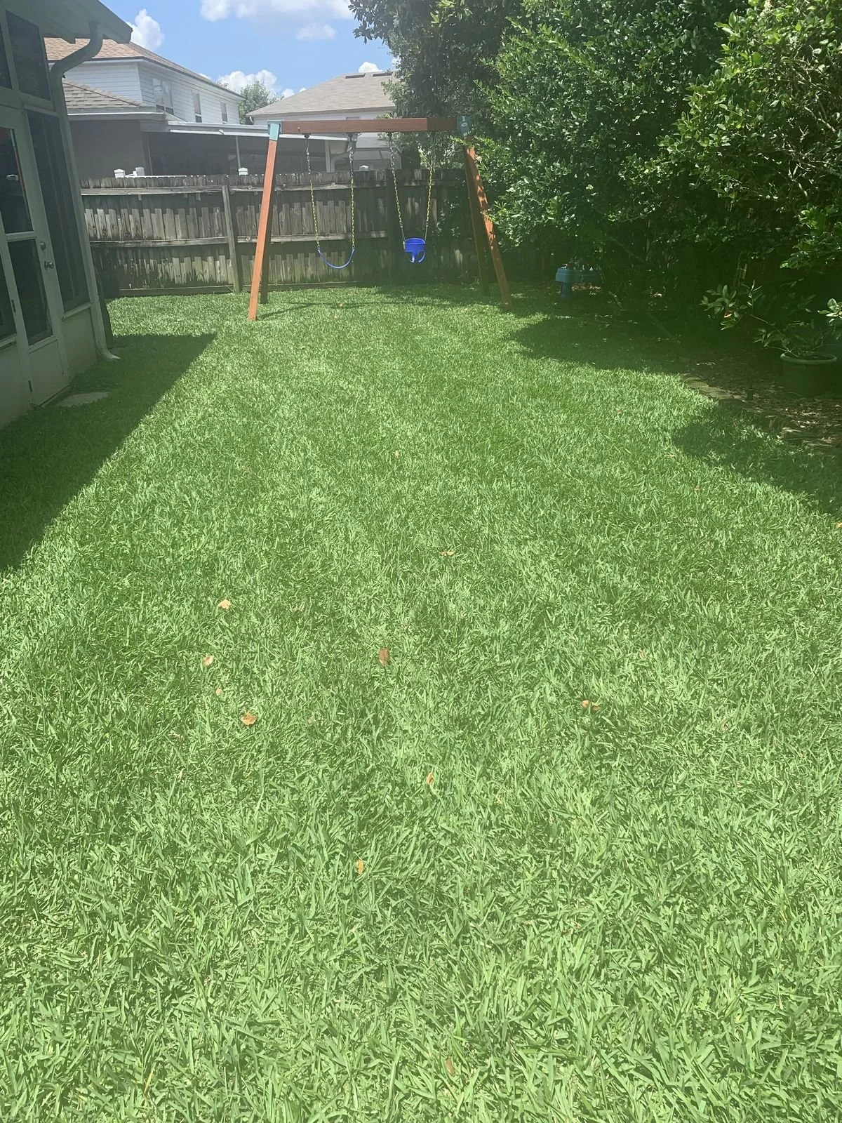 Freshly installed St. Augustine sod backyard lawn at a Lake Mary, Florida home by Yard Works
