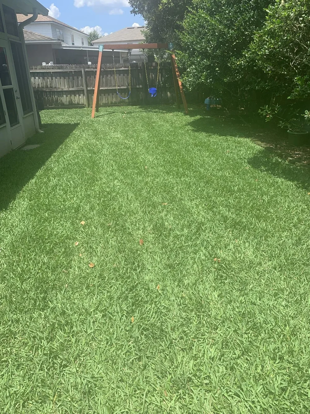 Established St. Augustine backyard lawn in Central Florida estate neighborhood