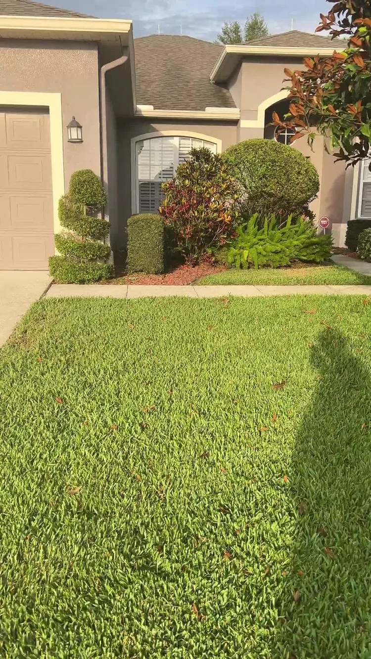 Established lush St. Augustine front lawn in Oviedo