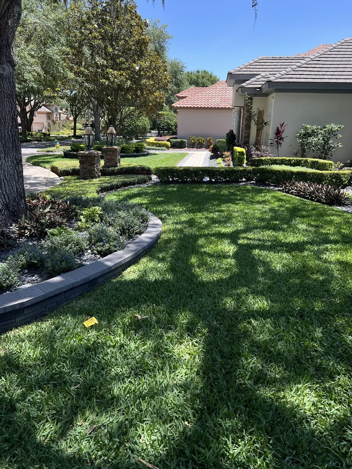 Professional front yard landscape design with curved beds and ornamental hedges in Oviedo FL