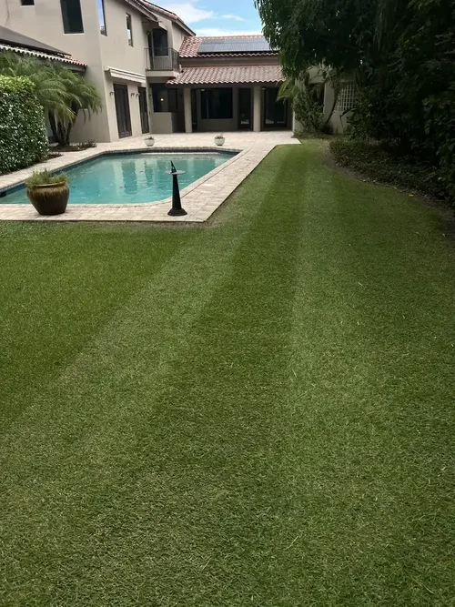 Striped backyard lawn beside a pool