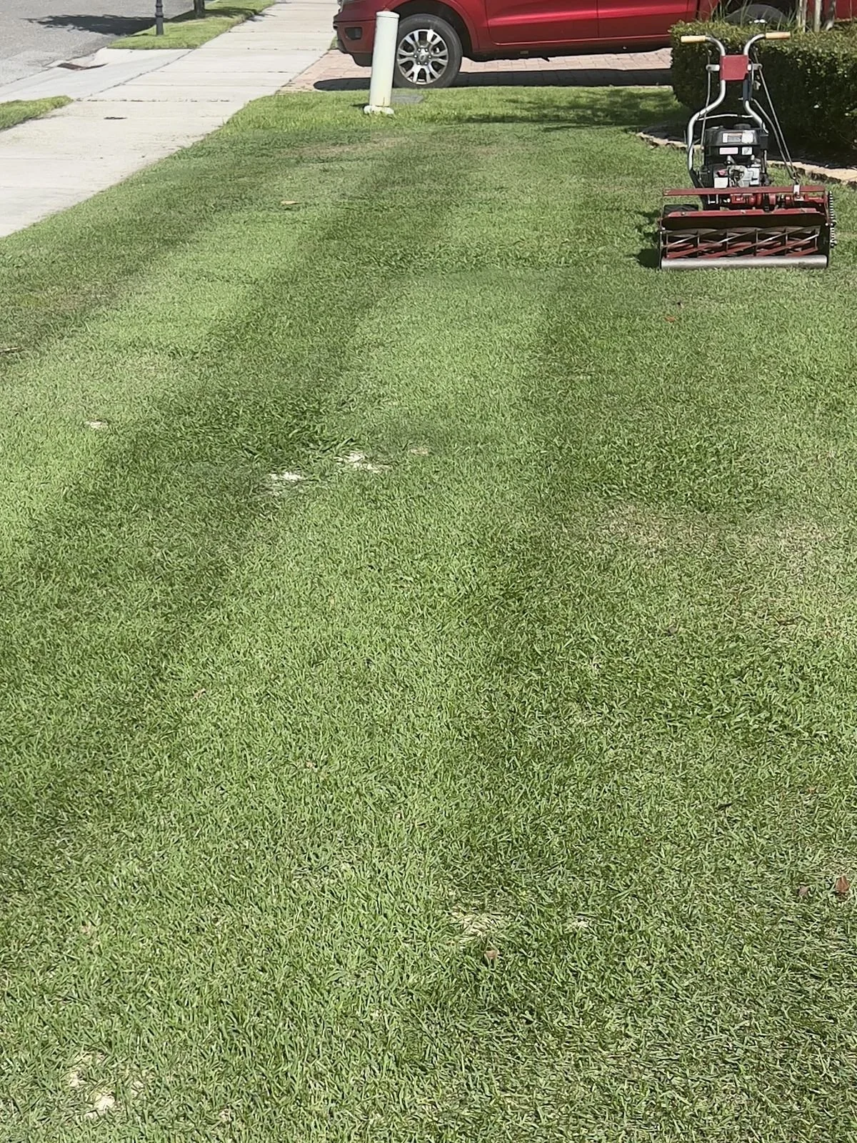 Toro reel mower striping a fine-blade Zoysia lawn in Winter Park — the championship-grade reel finish Trinity Zoysia delivers in moderate-shade zones