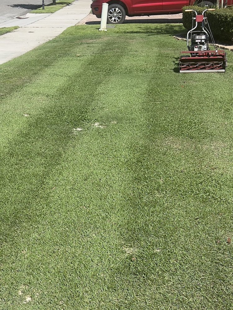 Empire Zoysia lawn being reel-mowed in Winter Park