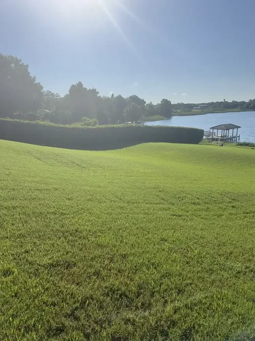 Lakefront lawn in Central Florida