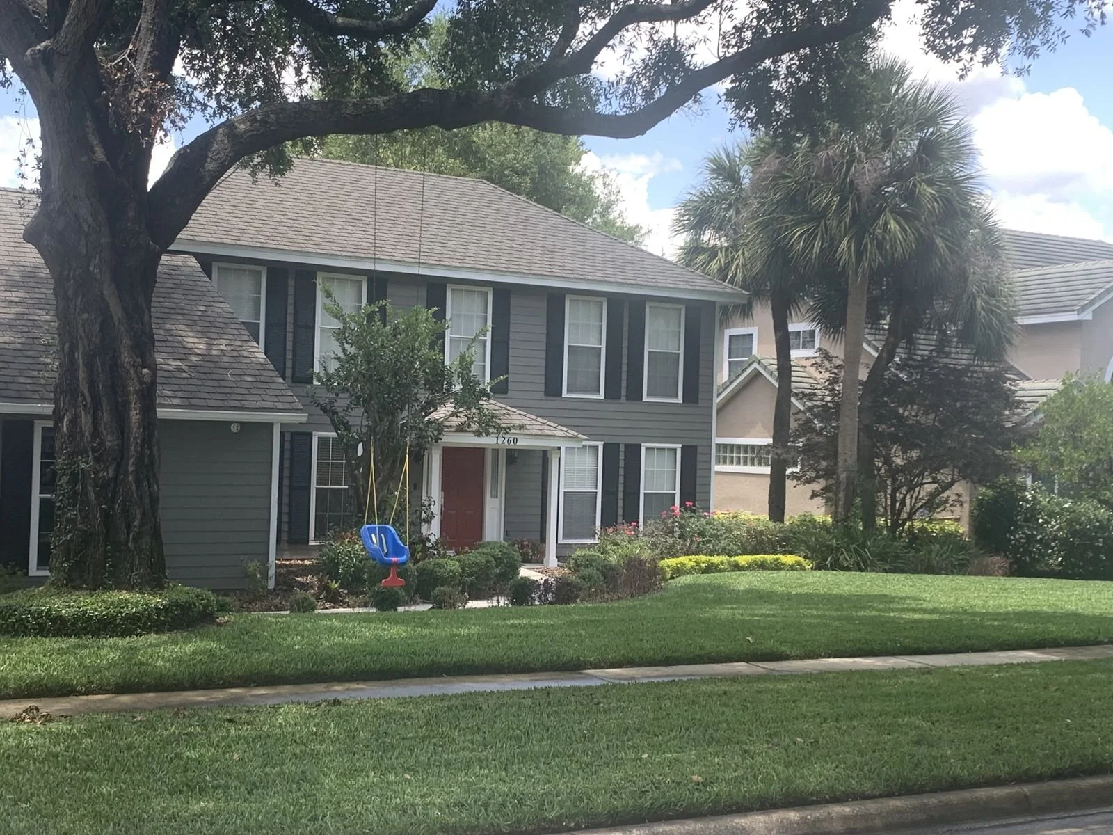 Mature St. Augustine stand maintained on Oviedo residential estate