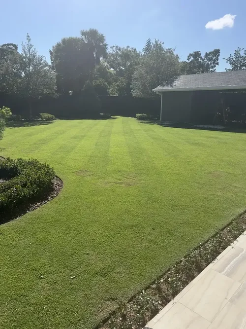 Reel-mowed lawn with crisp stripes