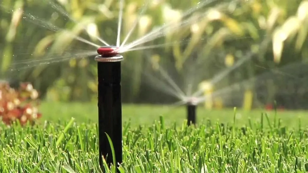 Irrigation sprinkler head watering a lawn