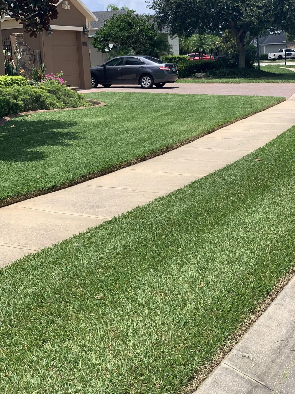 Zoysia lawn in Oviedo cut in a checkerboard pattern showing fine-blade density