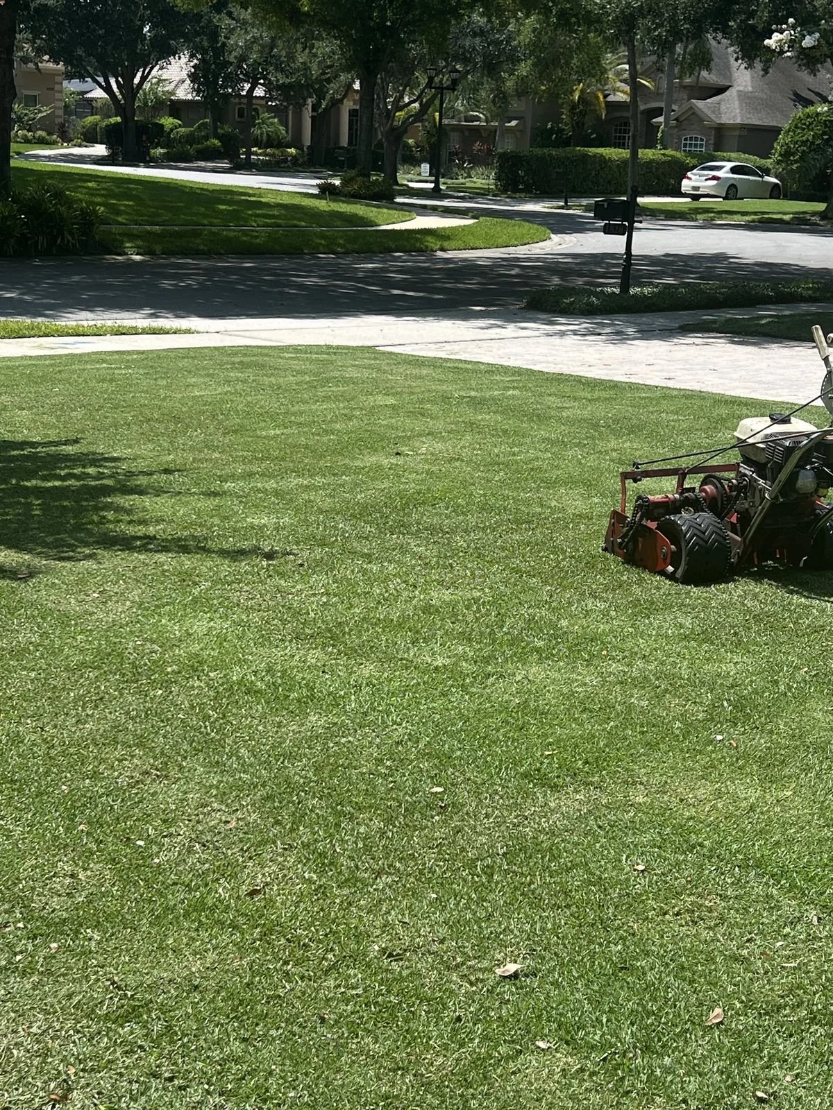Oviedo St. Augustine corner detail showing edge cut precision