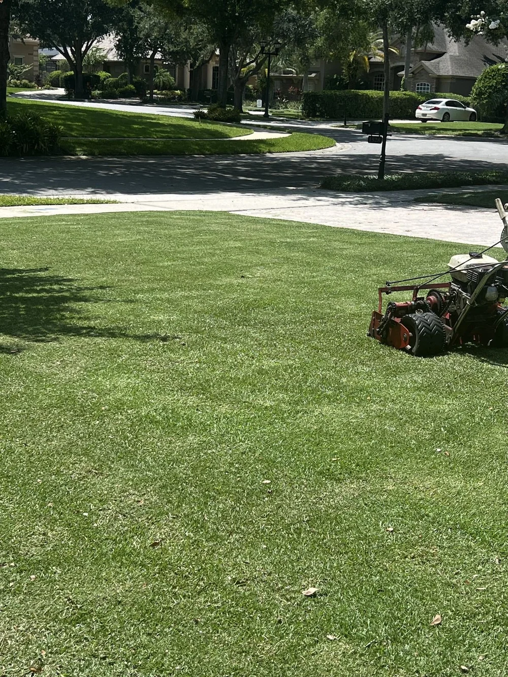 Clean St. Augustine sod edge at a corner detail in Oviedo — the bed-line edge finish ProVista holds with the glyphosate-tolerant trait