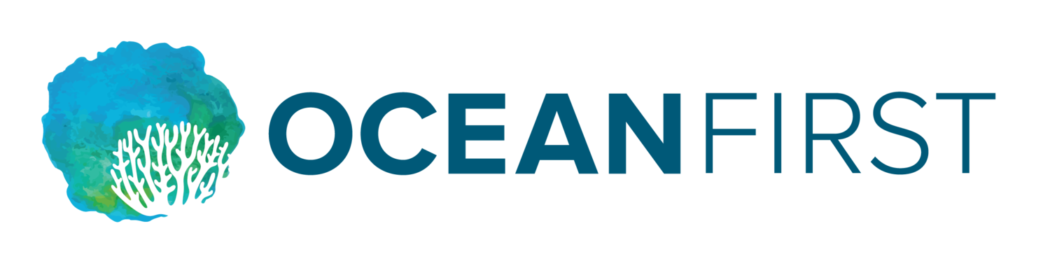 First ocean. Ocean first Consumers. One Ocean программа СУДНОВОДИТЕЛИ.