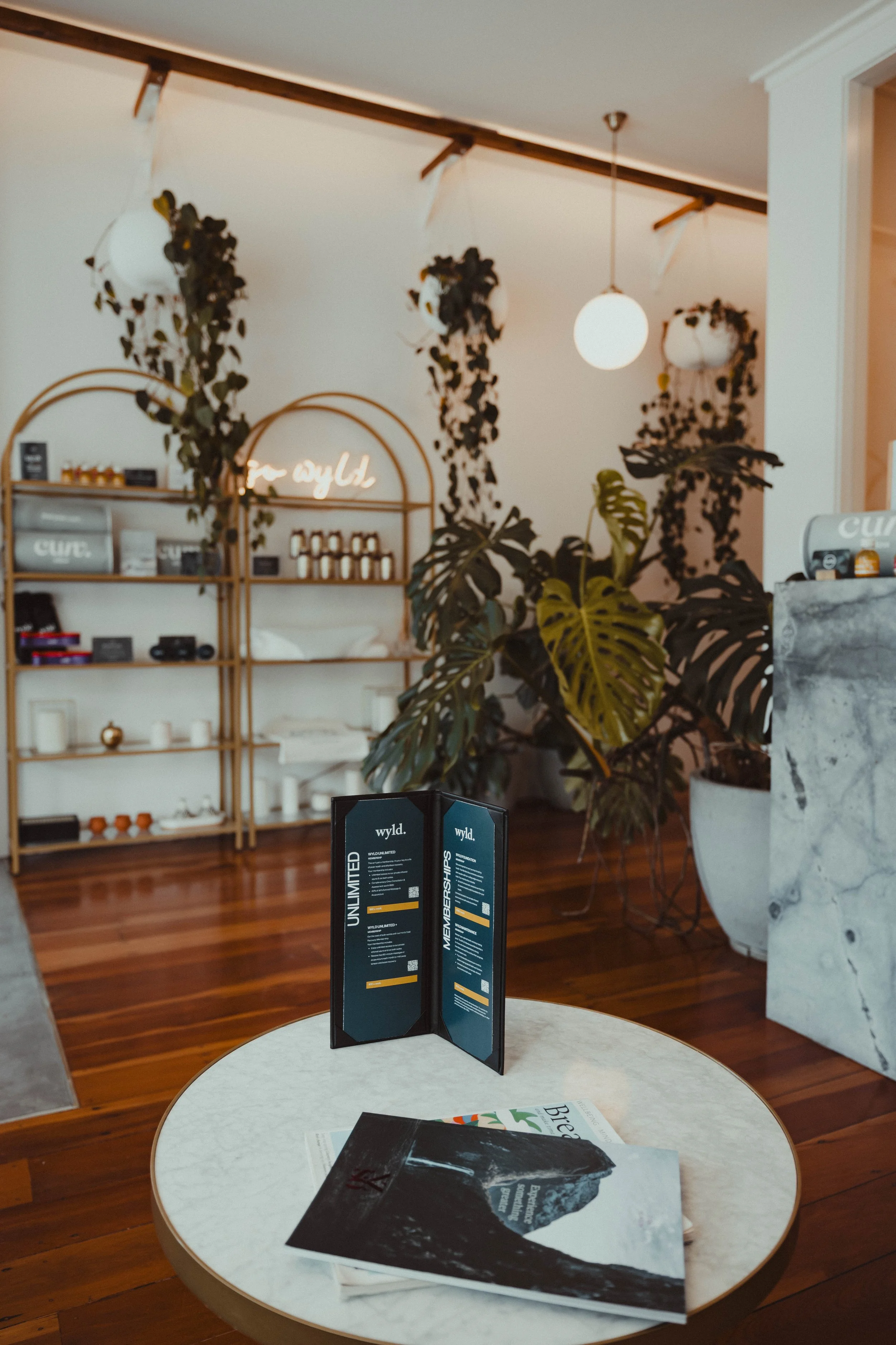WYLD Auckland massage clinic interior