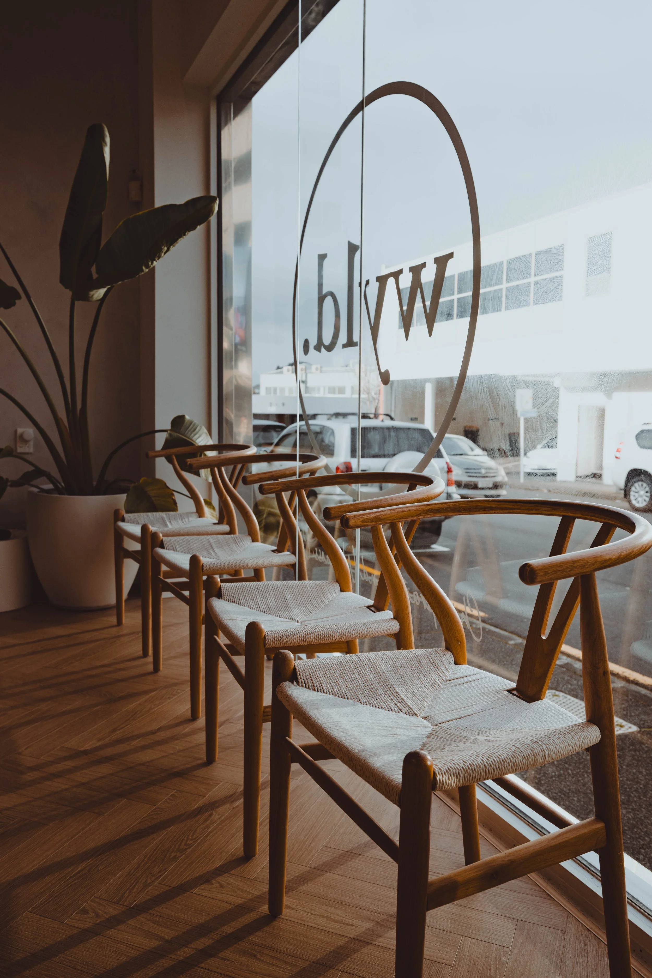 WYLD Clinic Newmarket — cupping therapy treatment room