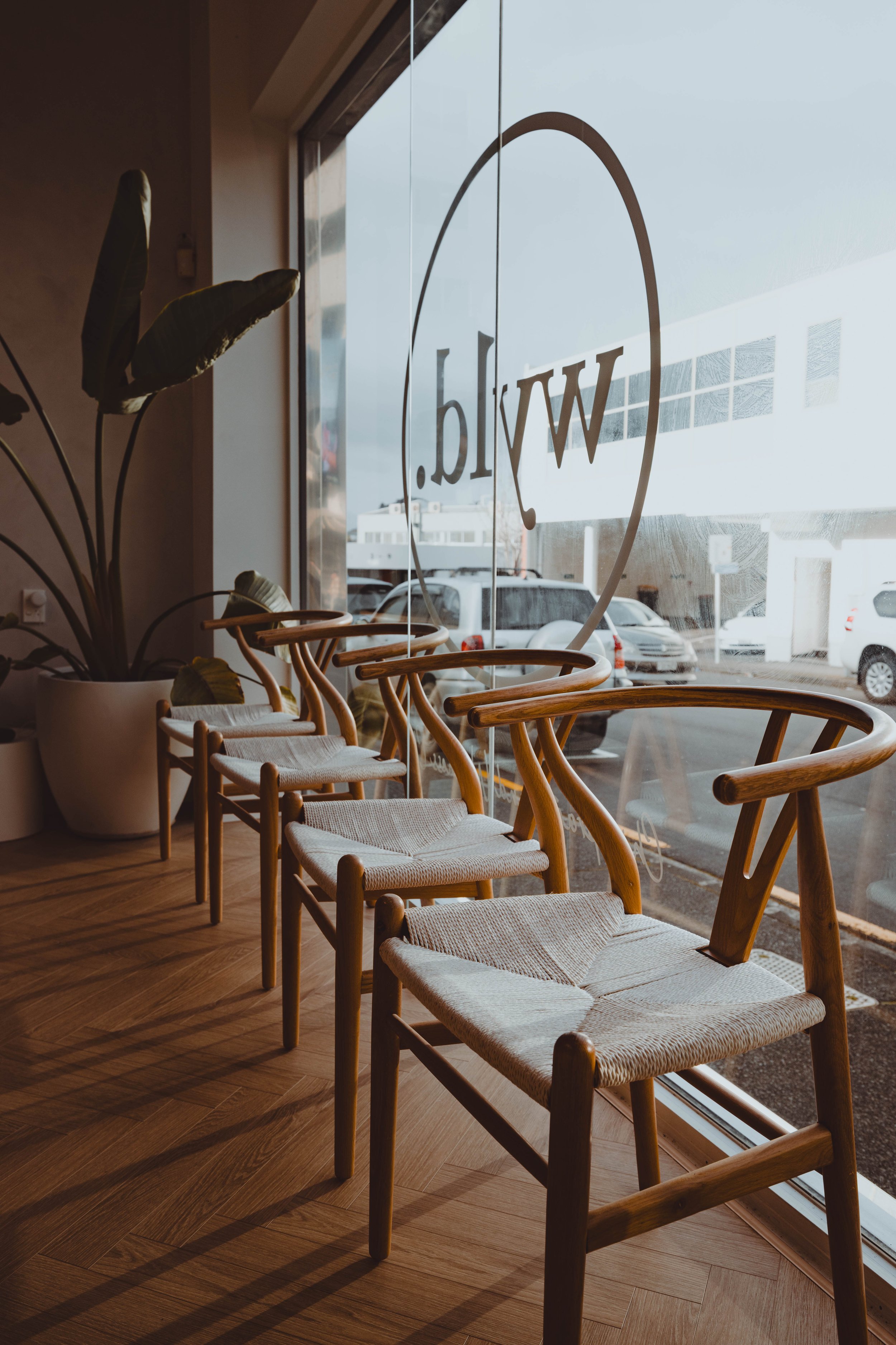 WYLD Newmarket interior