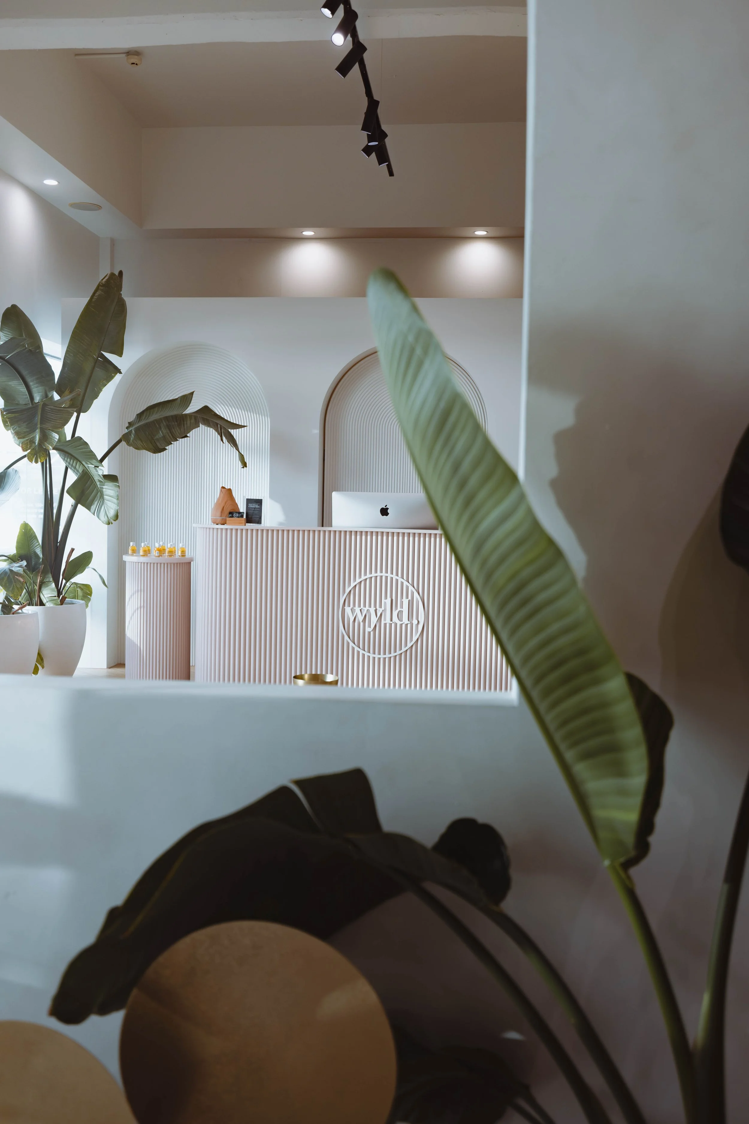 Corporate wellness Newmarket Auckland WYLD