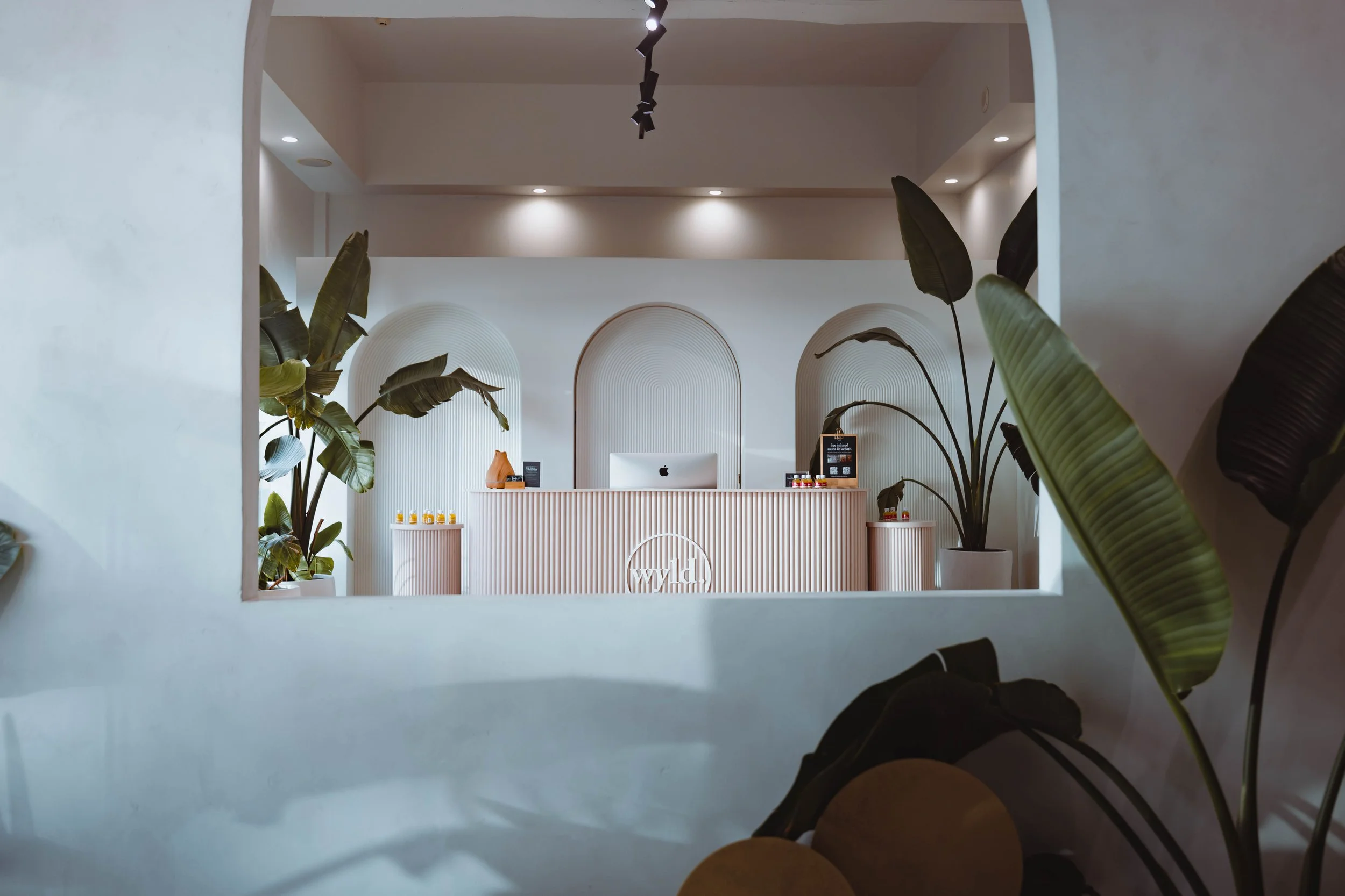 Welcome to WYLD Clinic Newmarket — Auckland's premier holistic wellness clinic