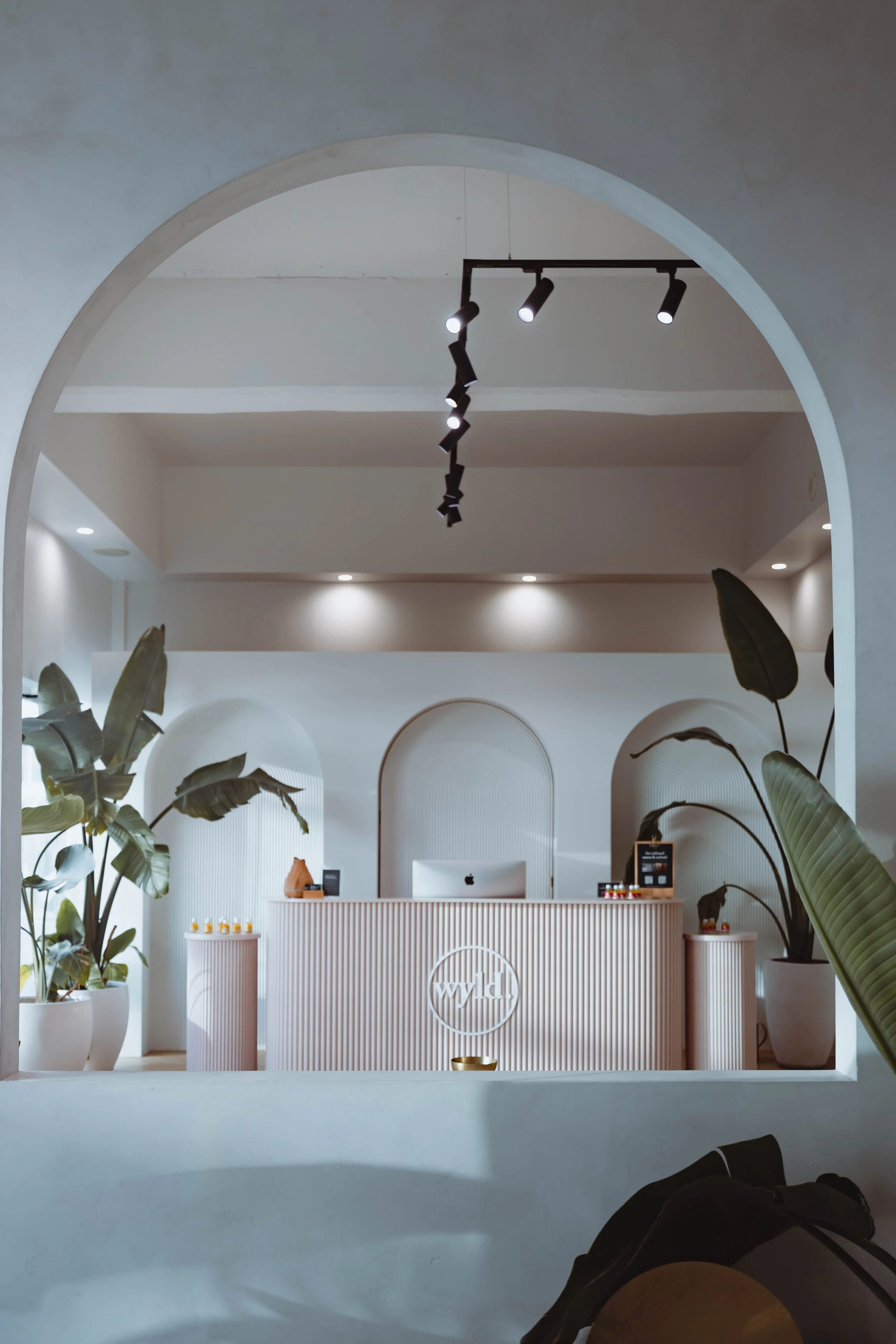 WYLD Newmarket acupuncture — sanctuary Auckland