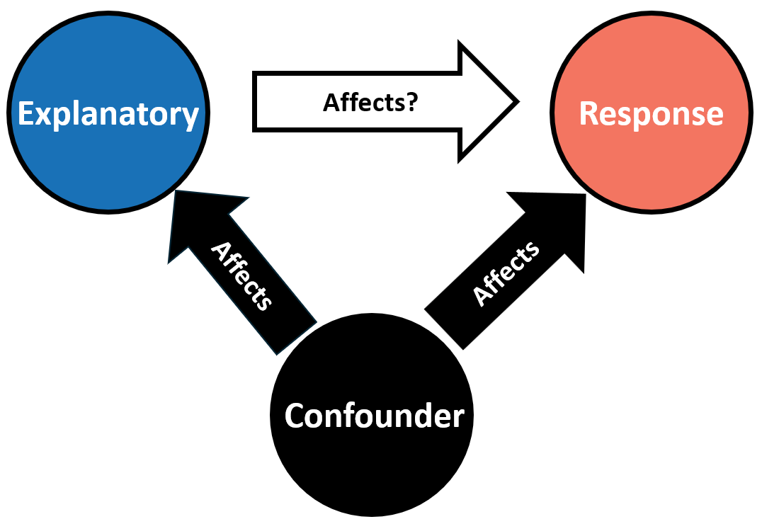 Confounder