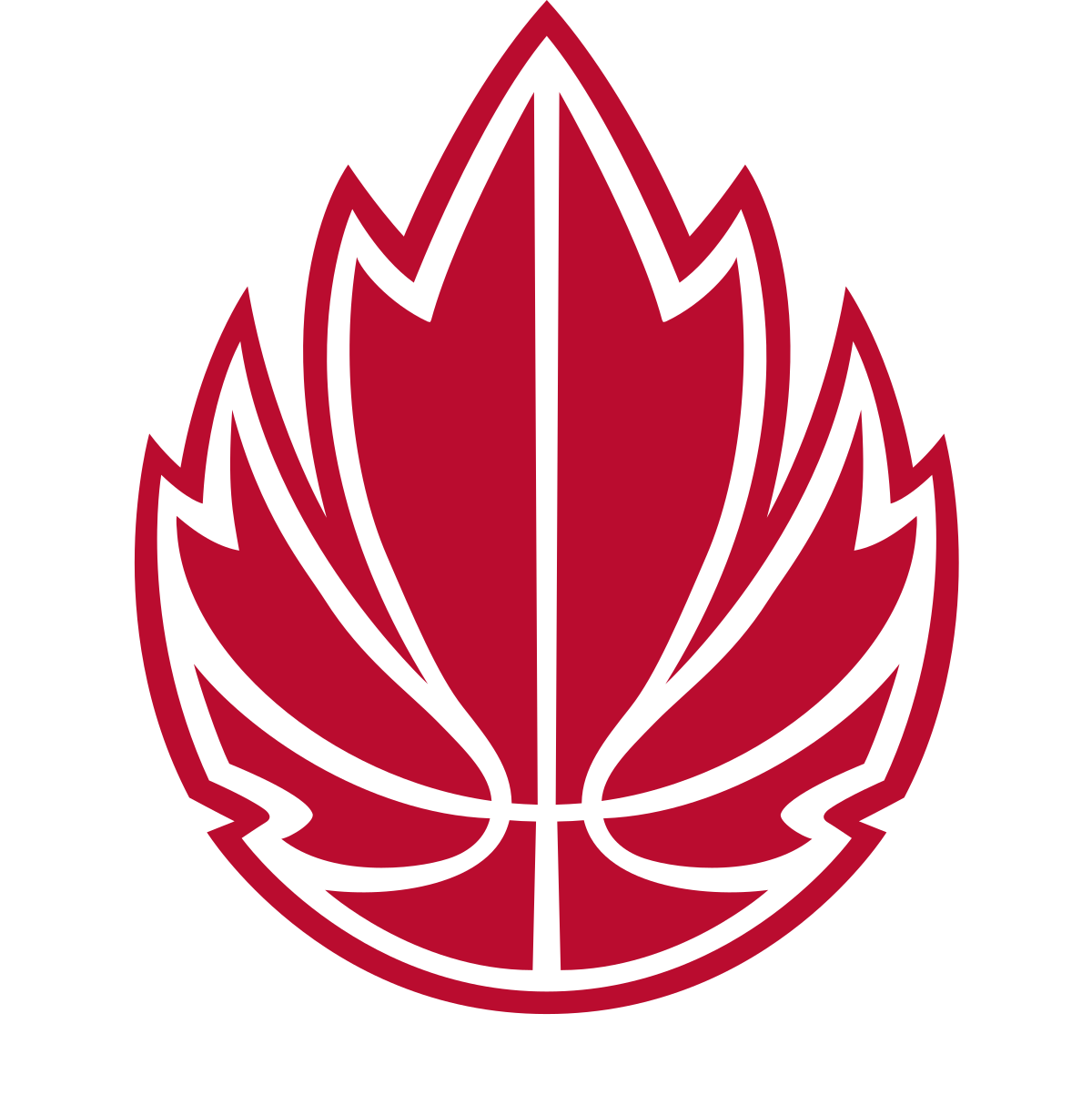 Canada Basketball