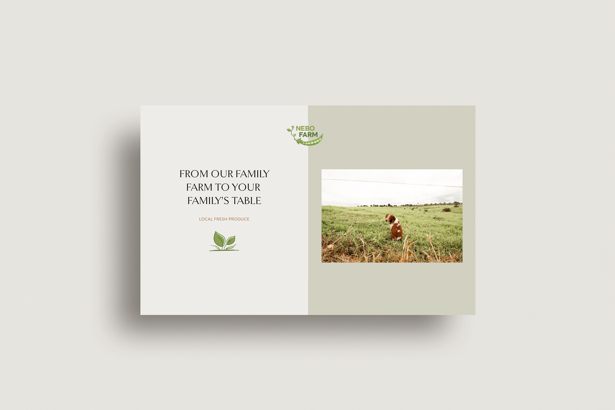Nebo Farm website design
