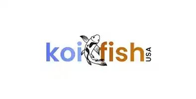 Koi Fish USA