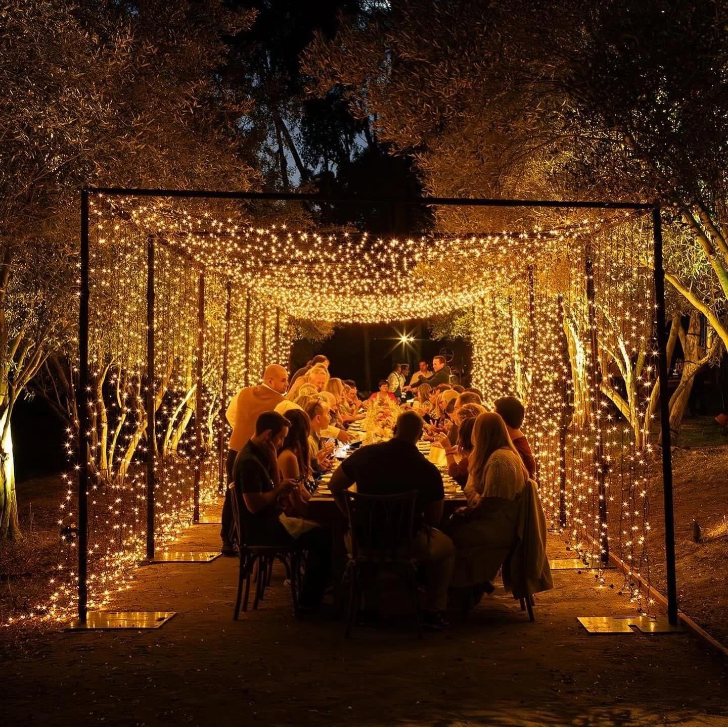 Professional string light installation at event venue