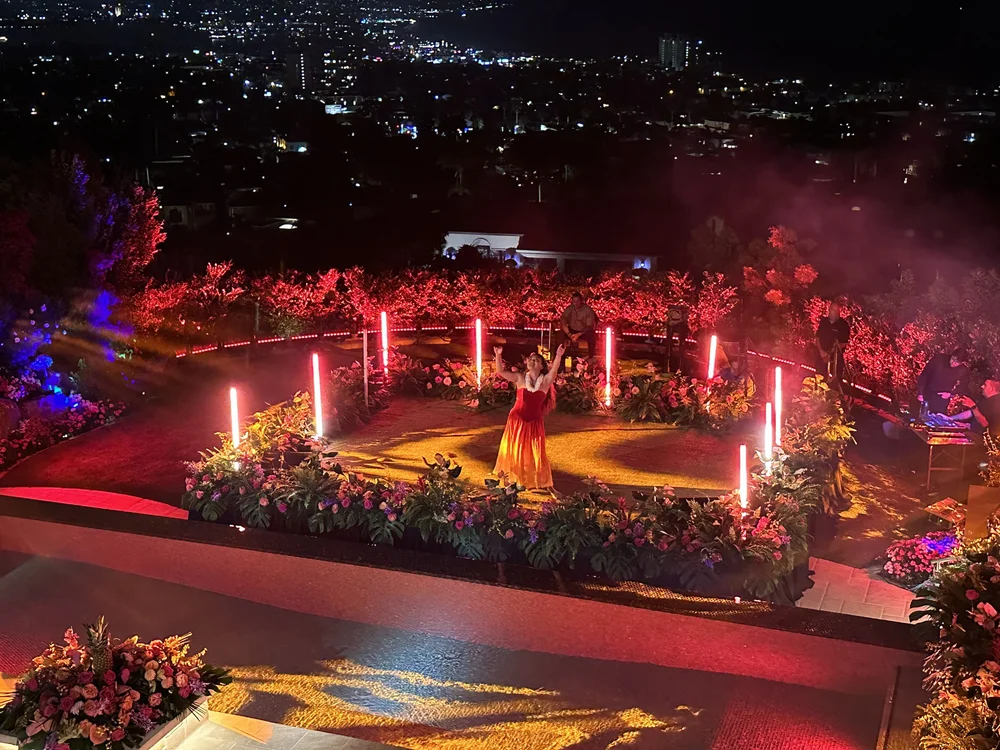 Luxury wedding with architectural LED tube lighting