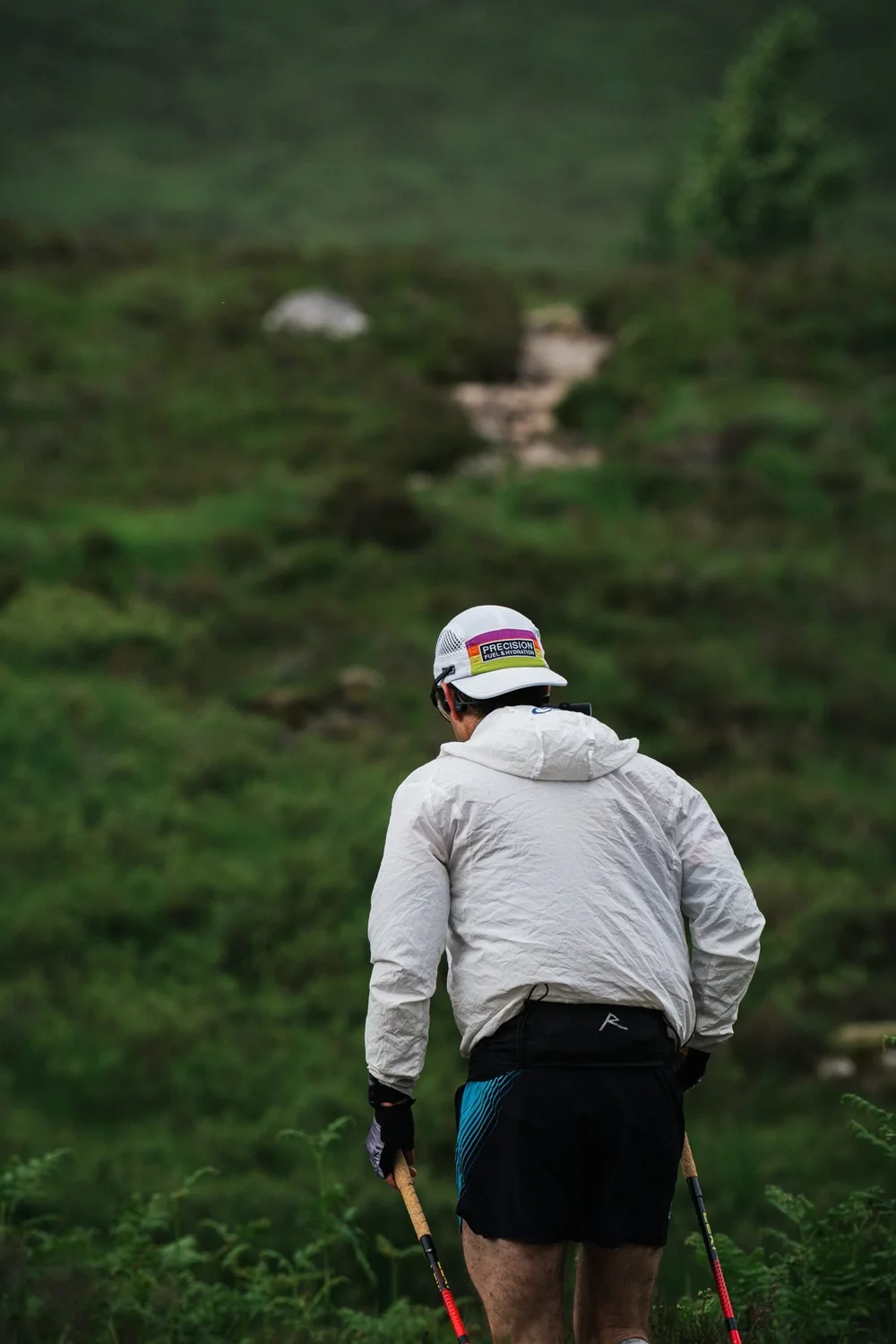 A trail runner seen from behind, walking up a green glen with poles