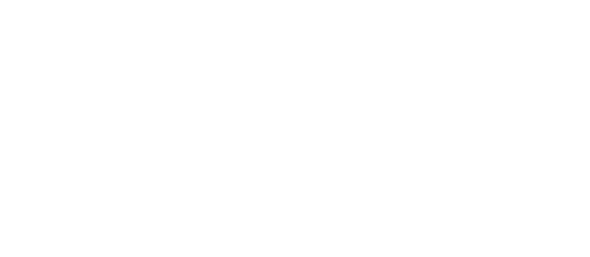 Auto Image USA logo